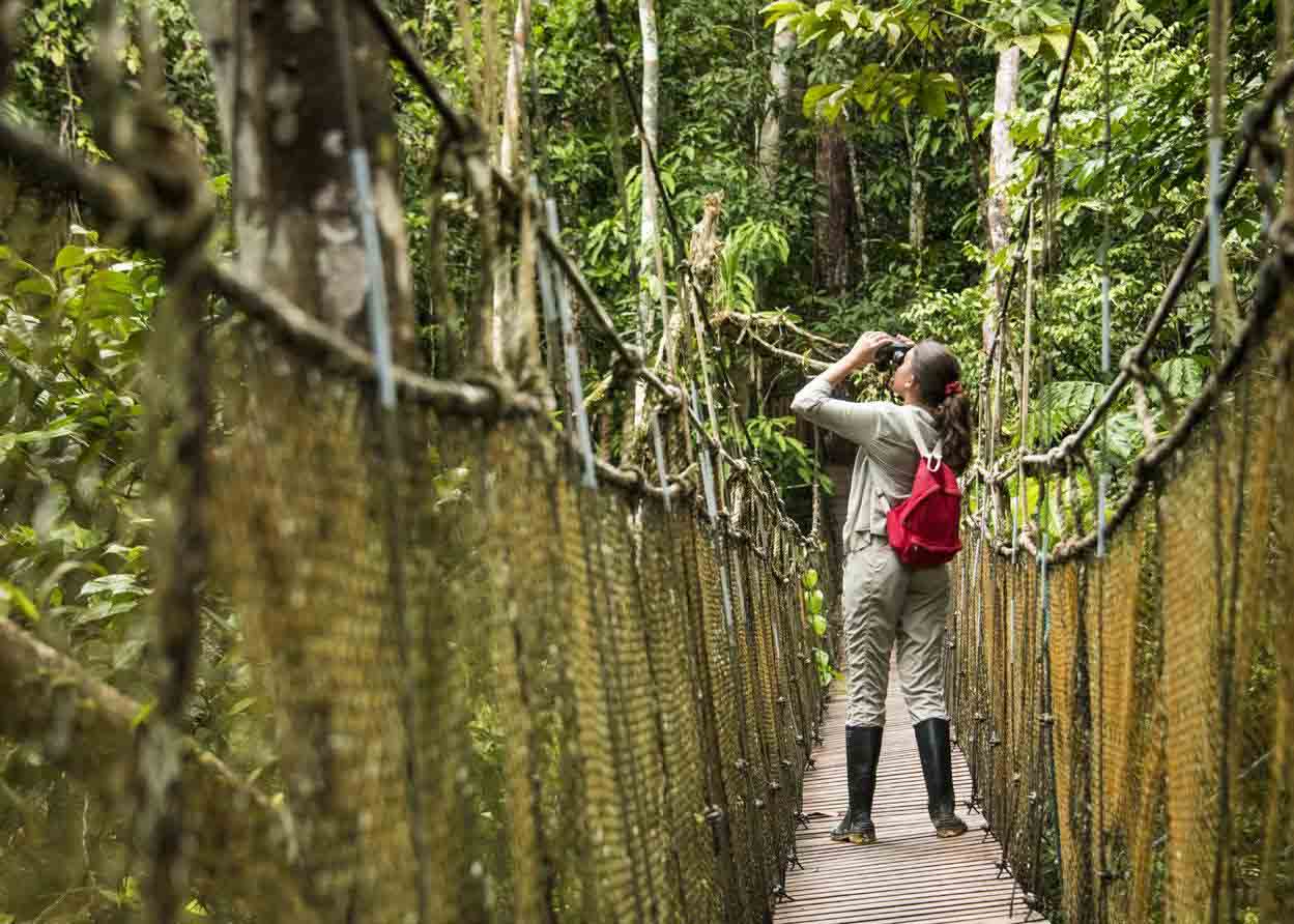 Amazon rainforest experience